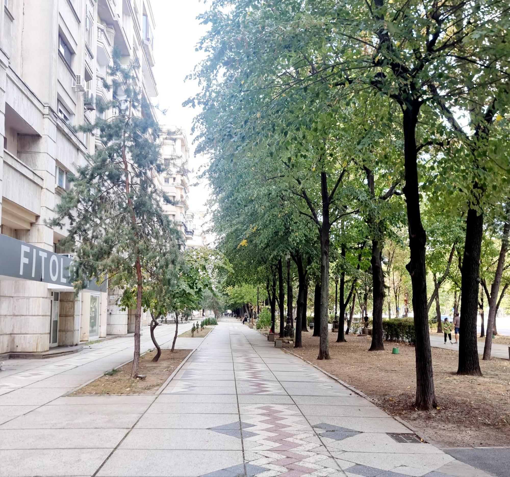 Tranquil Unirii Residence - Elegant & Spacious Living With Parking Steps From Parliament Bucarest Exterior foto