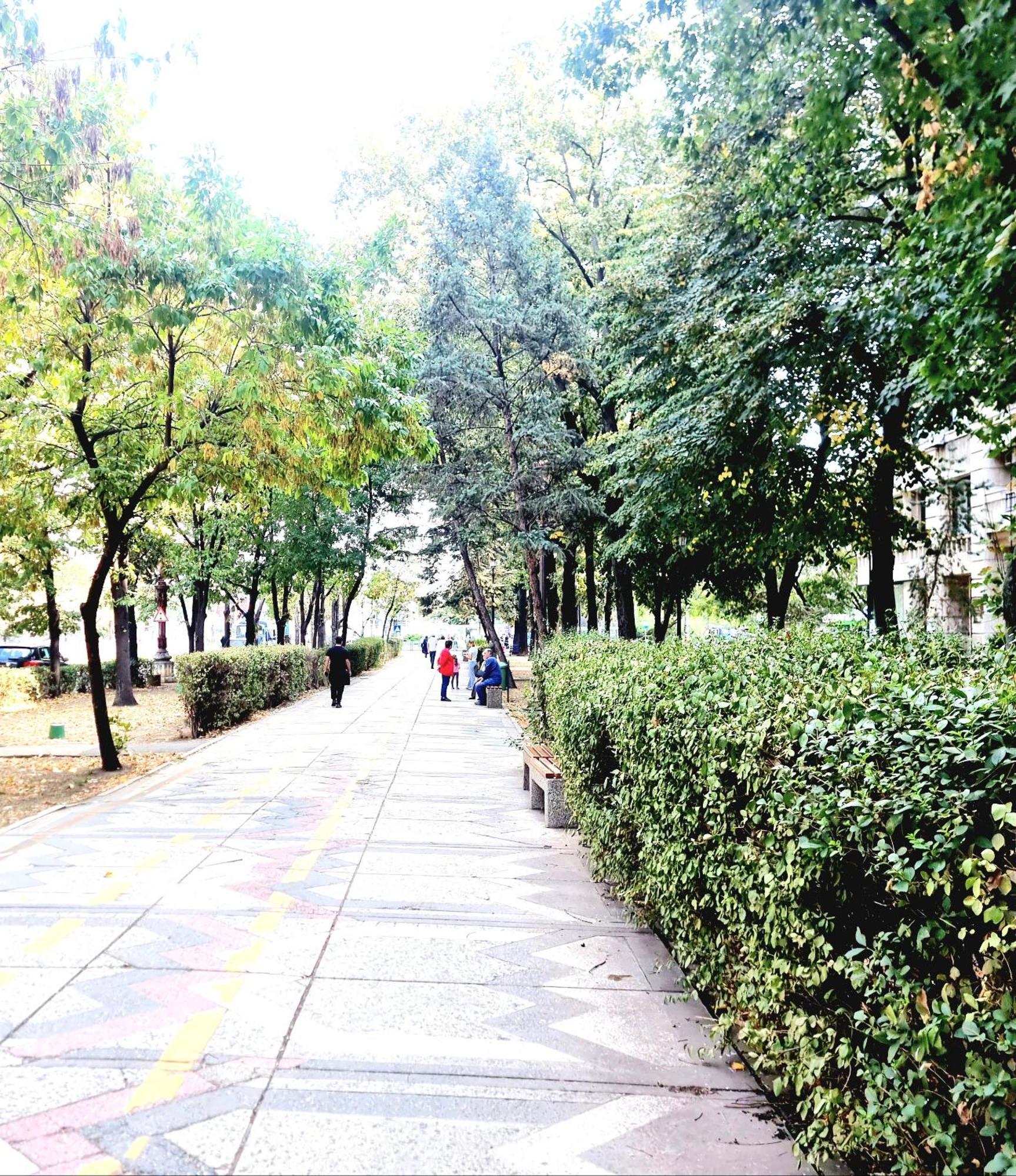 Tranquil Unirii Residence - Elegant & Spacious Living With Parking Steps From Parliament Bucarest Exterior foto
